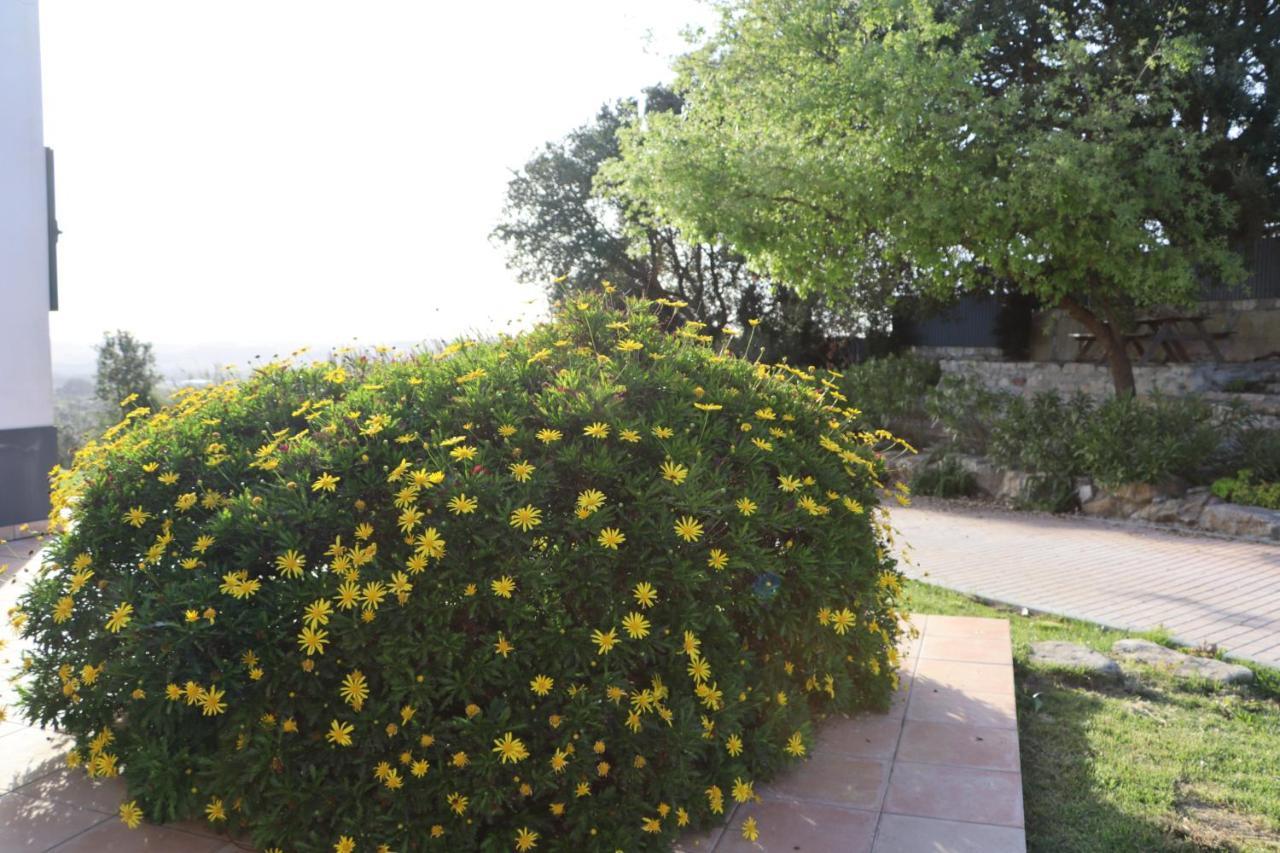 봄바랄 Casa Do Horizonte 아파트 외부 사진
